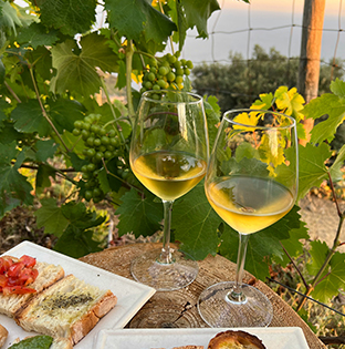 italy_cantine